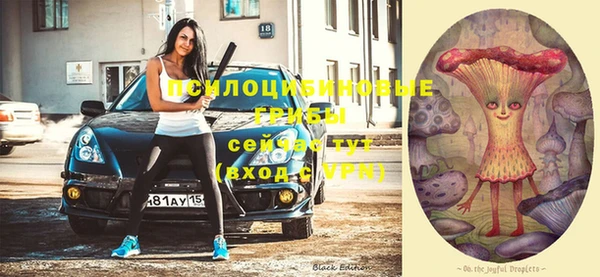 стаф Верхний Тагил
