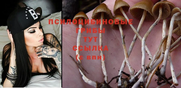 apvp Верхнеуральск