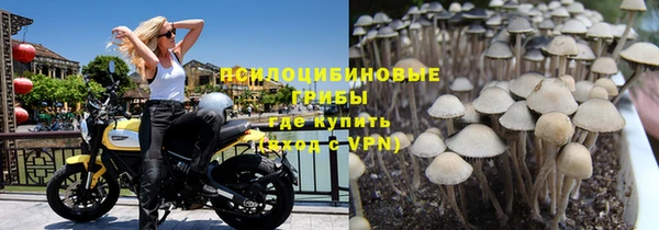 стаф Верхний Тагил
