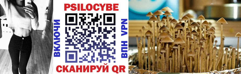 Купить закладки  Фокино  Галлюциногенные грибы ЛСД 